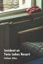 Incident at Twin Lakes Resort front cover